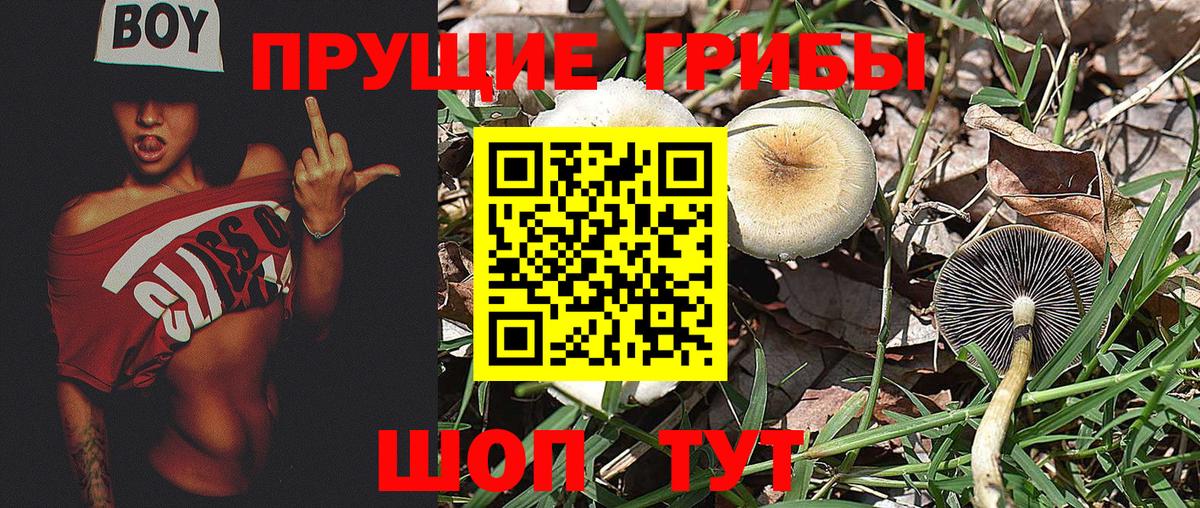 Галлюциногенные грибы мухоморы  Вход с VPN  Трёхгорный 